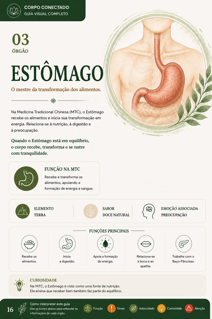 Previa da pagina sobre Estomago