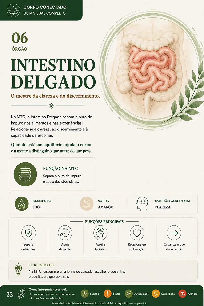 Previa da pagina sobre Intestino Delgado